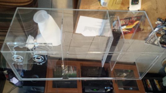 20160602_183445_Lake Cir Dr.jpg