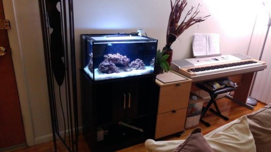 20161019_193756 (Medium).jpg 20161019_193756 (Medium).jpg