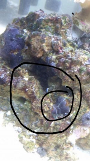 2016-09-12 15.46.59_1473711285684.jpg