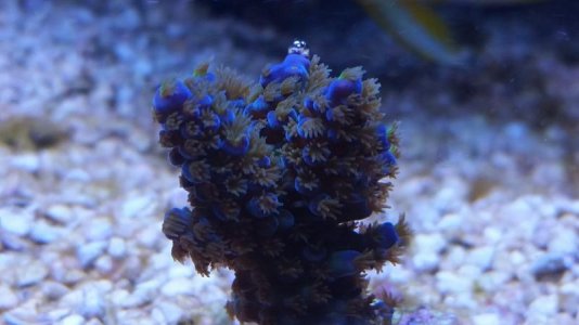 20160910_170613.jpg