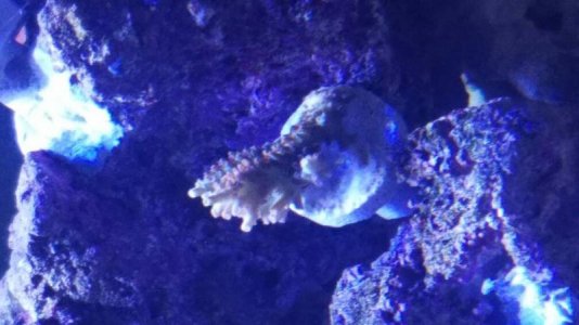 20160913_181018.jpg