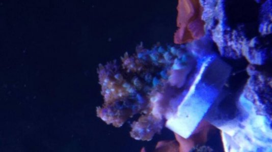 20160913_181010.jpg