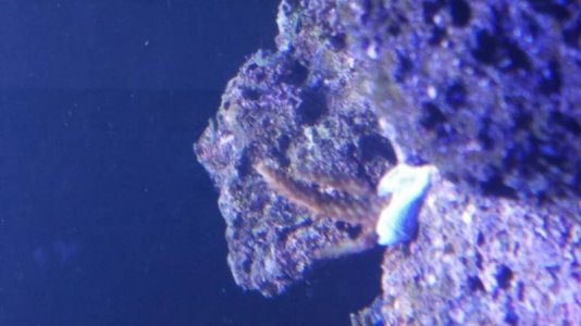 20160913_180953.jpg