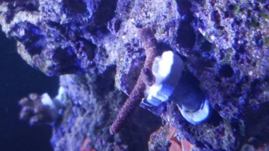 20160913_180948.jpg