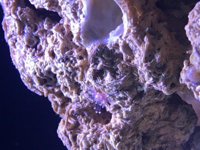 IMG_7289.jpg