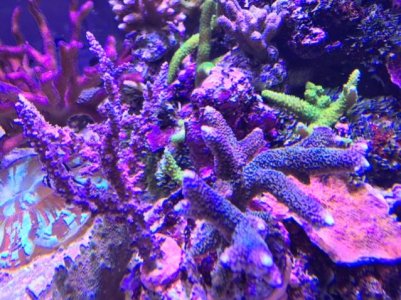 IMG_0954.jpg