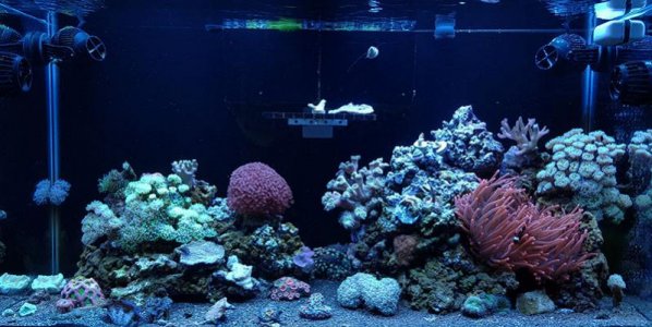 FTS.jpg