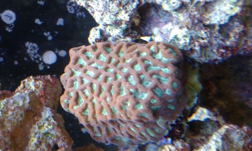 20160806_193921.jpg