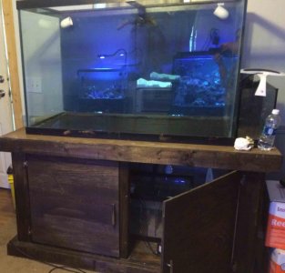 IMG_5909.jpg IMG_5909.jpg