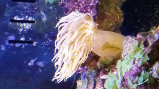 20160904_155823.jpg