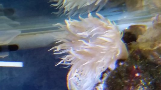 20160904_155811.jpg