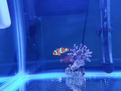 20161026_203456.jpg 20161026_203456.jpg