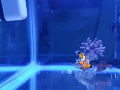 20161026_203454.jpg 20161026_203454.jpg