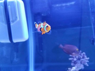 20161026_203450.jpg 20161026_203450.jpg