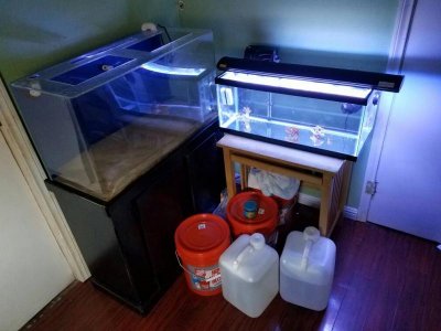 20161026_133810.jpg 20161026_133810.jpg