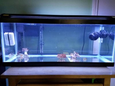 20161026_133803.jpg 20161026_133803.jpg