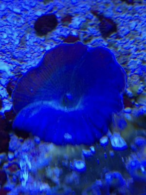 IMG_2970.jpg