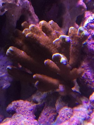 IMG_2974.jpg