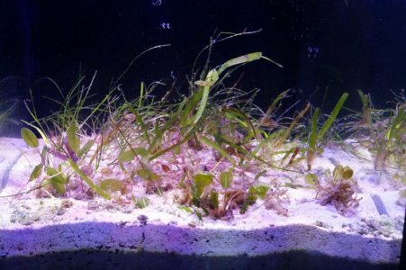 20160918_095534.jpg