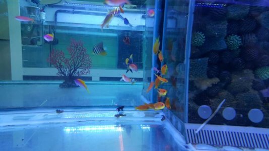 20161026_133449.jpg