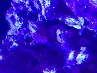 IMG_3370.jpg