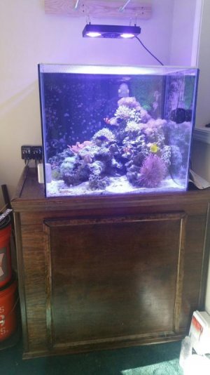 2016-09-20 15.33.18.jpg