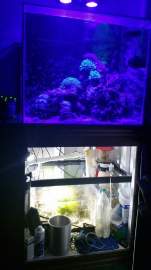 2016-09-20 15.34.22.jpg