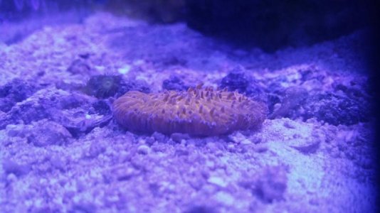 2016-09-20 18.29.20.jpg