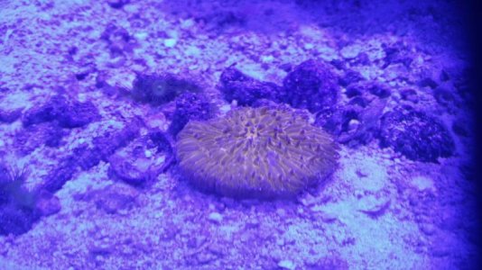 2016-09-20 18.29.53.jpg