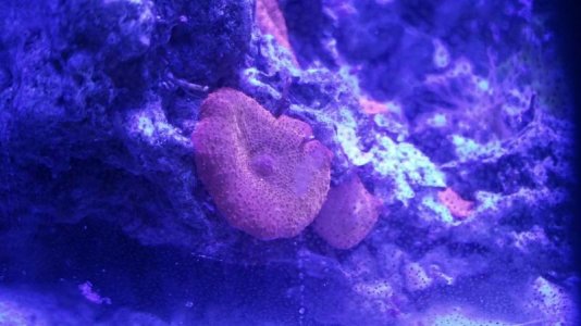 2016-09-20 18.30.34.jpg