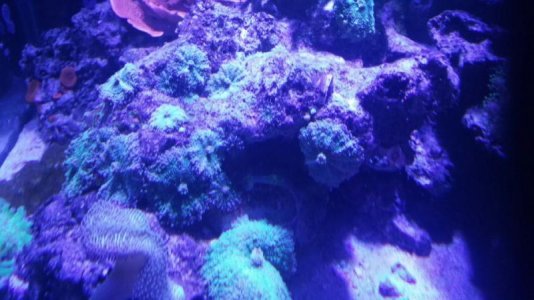 2016-09-20 18.31.05.jpg