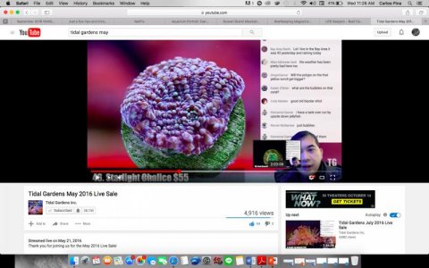 Screen Shot 2016-09-21 at 11.26.14 AM.jpg