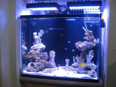 IMG_7234 (Large).jpg