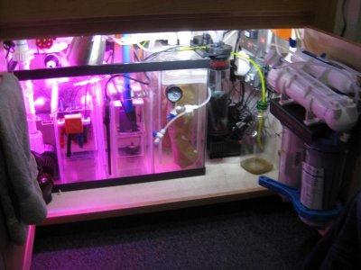 IMG_7240 (Large).jpg