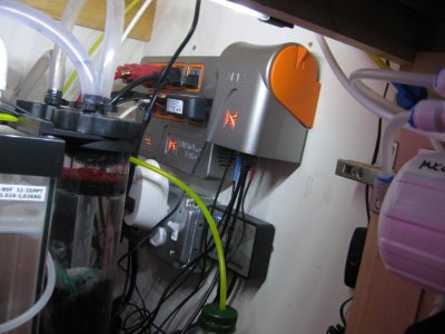 IMG_7241 (Large).jpg