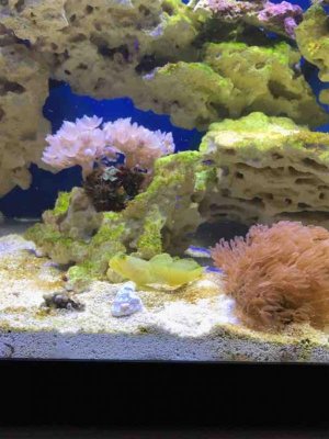 IMG_0103.jpg IMG_0103.jpg