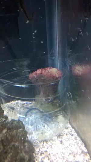 WP_20160921_001.jpg