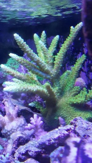 20161029_131149_resized_1.jpg
