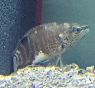 20161101_112227.jpg