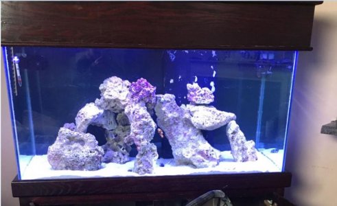 Aquascape.jpg