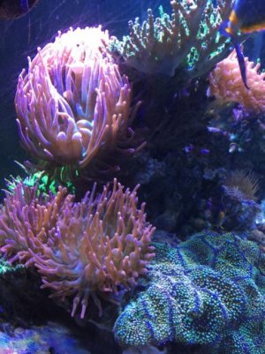 41c00afeadfcb30cea8368e103c58dba.jpg