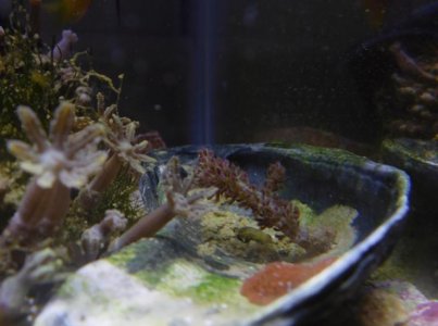 Screen Shot 2016-09-22 at 8.48.00 PM.jpg