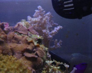 Screen Shot 2016-09-22 at 8.53.11 PM.jpg