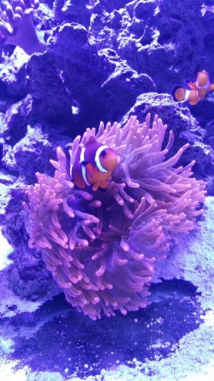 2016-09-23 19.20.08.jpg