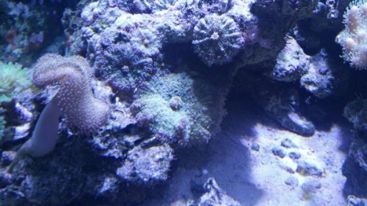 2016-09-23 19.23.34.jpg