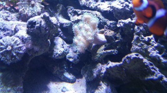 2016-09-23 19.23.01.jpg