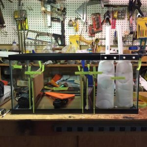 building new sump (1).jpg