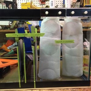 building new sump (2).jpg