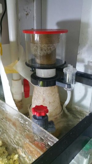 2016-09-25 10.59.11.jpg