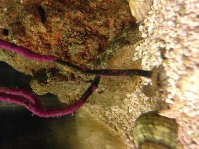 IMG_2734.jpg